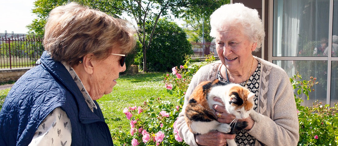 residence-niort-femmes-agees-discussion-chat