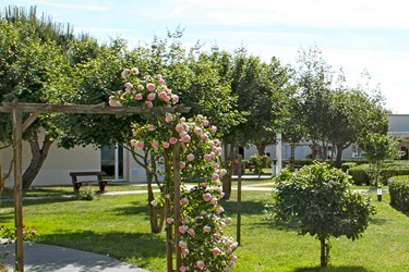 residence-seniors-chateau-d-olonne-parc-arbore