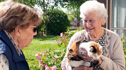 animaux-de-compagnie-pour-les-seniors