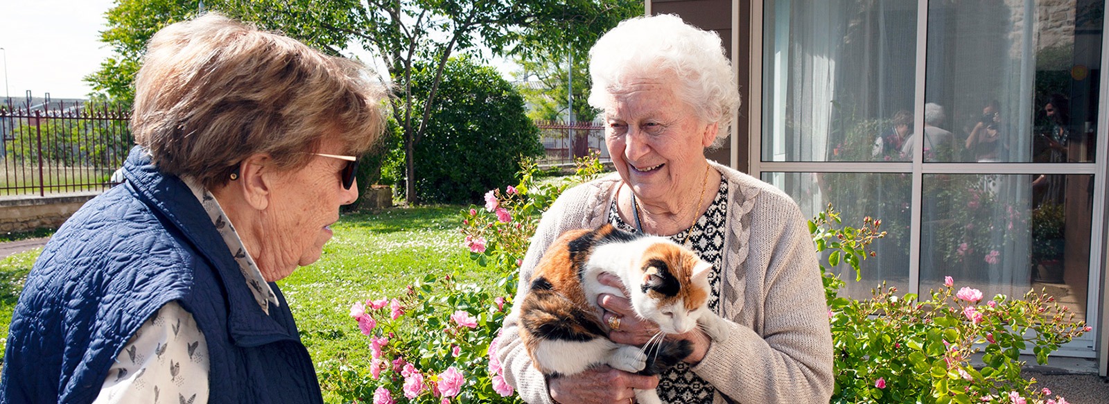 animaux-de-compagnie-pour-les-seniors