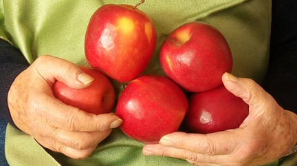 je-vais-au-marche