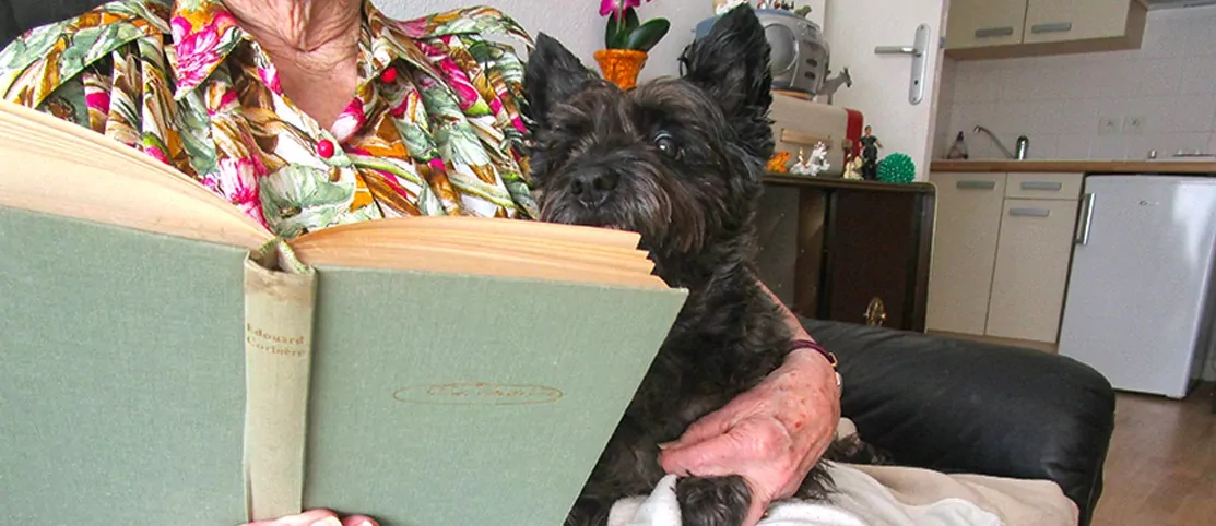 Chien dans la résidence