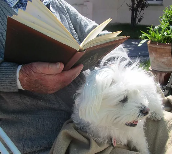 residence-senior-lecture-chien-genou Lecture d'un livre avec un chien sur les genoux