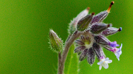 vignette expo temporaire aux Residentiels Les Sables d'Olonne Vendée