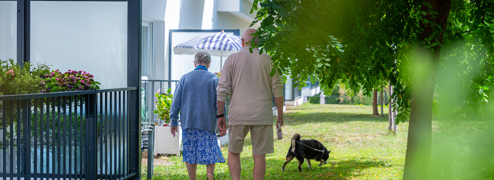 Votre animal de compagnie vous suit en résidence seniors aux Résidentiels Royan Rochefort Les Sables Niort Saint-Brevin-les-Pins